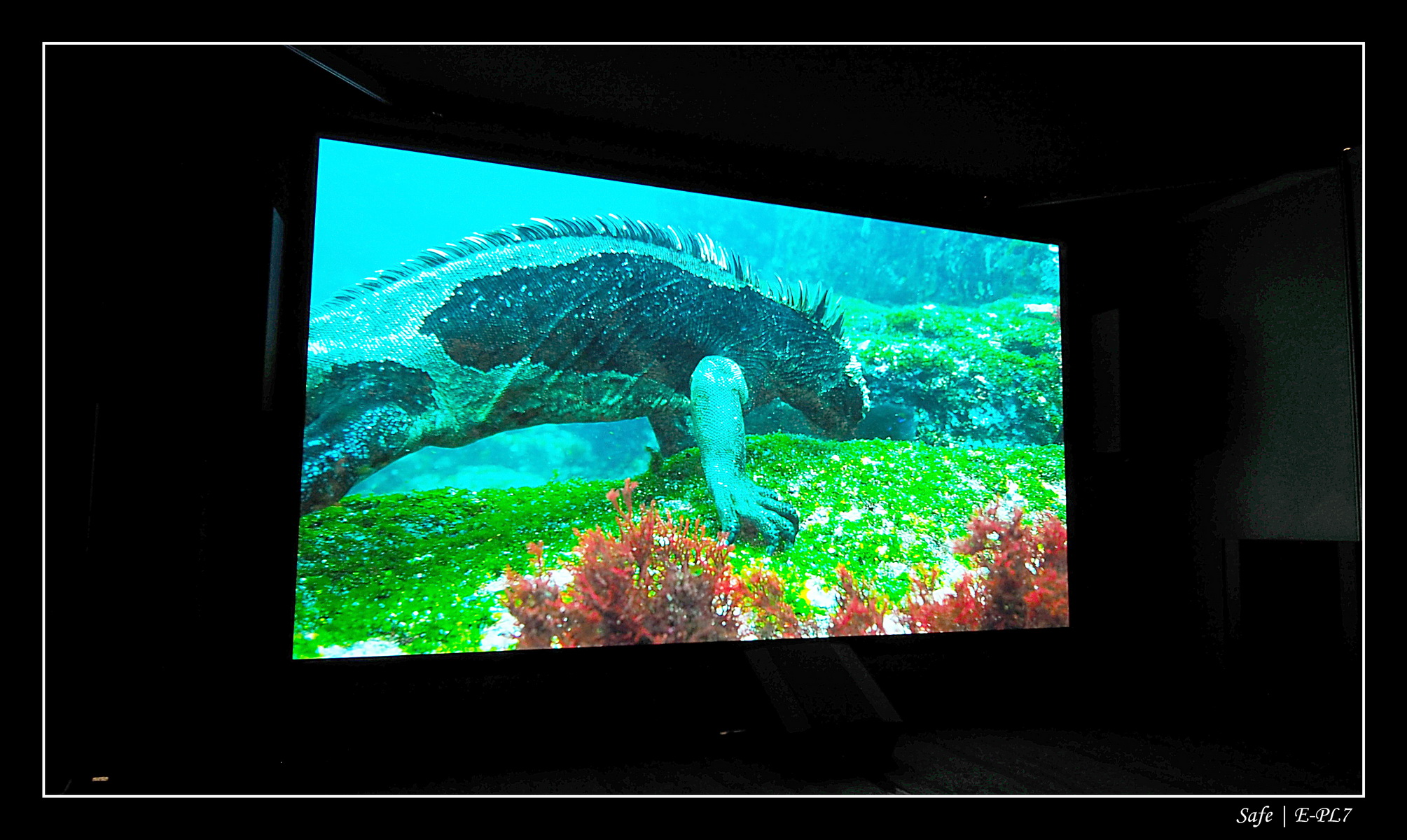 2017   10   Salon HC Paris   29